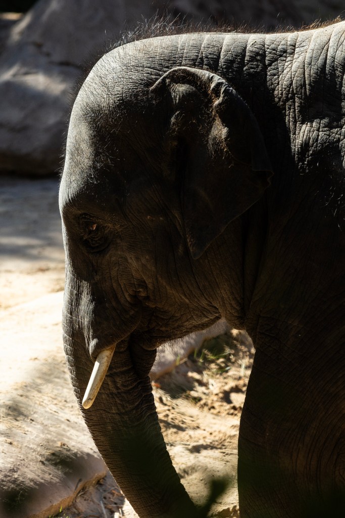 (Maria Crane | Fort Worth Report/CatchLight Local/Report for America)