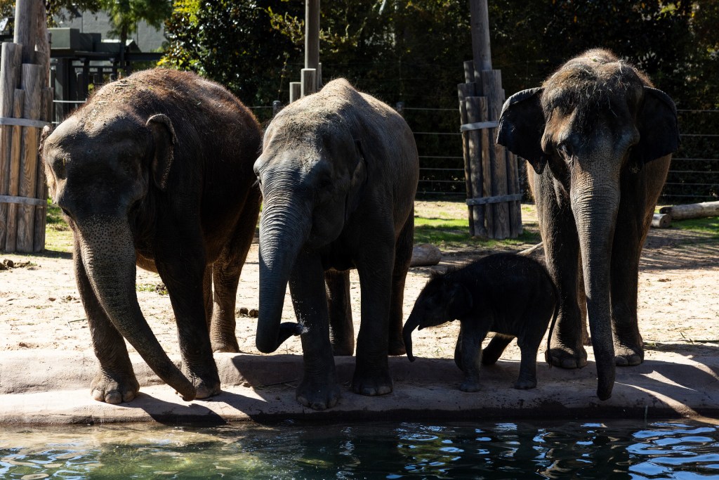 (Maria Crane | Fort Worth Report/CatchLight Local/Report for America)