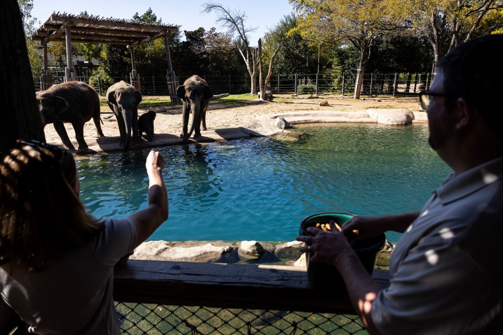 (Maria Crane | Fort Worth Report/CatchLight Local/Report for America)