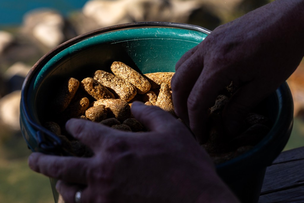 (Maria Crane | Fort Worth Report/CatchLight Local/Report for America)