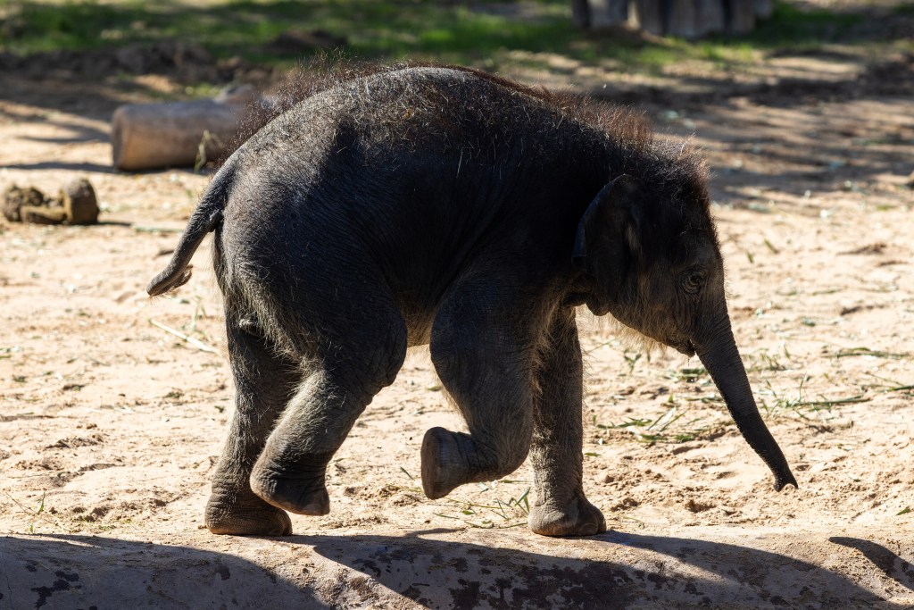 (Maria Crane | Fort Worth Report/CatchLight Local/Report for America)