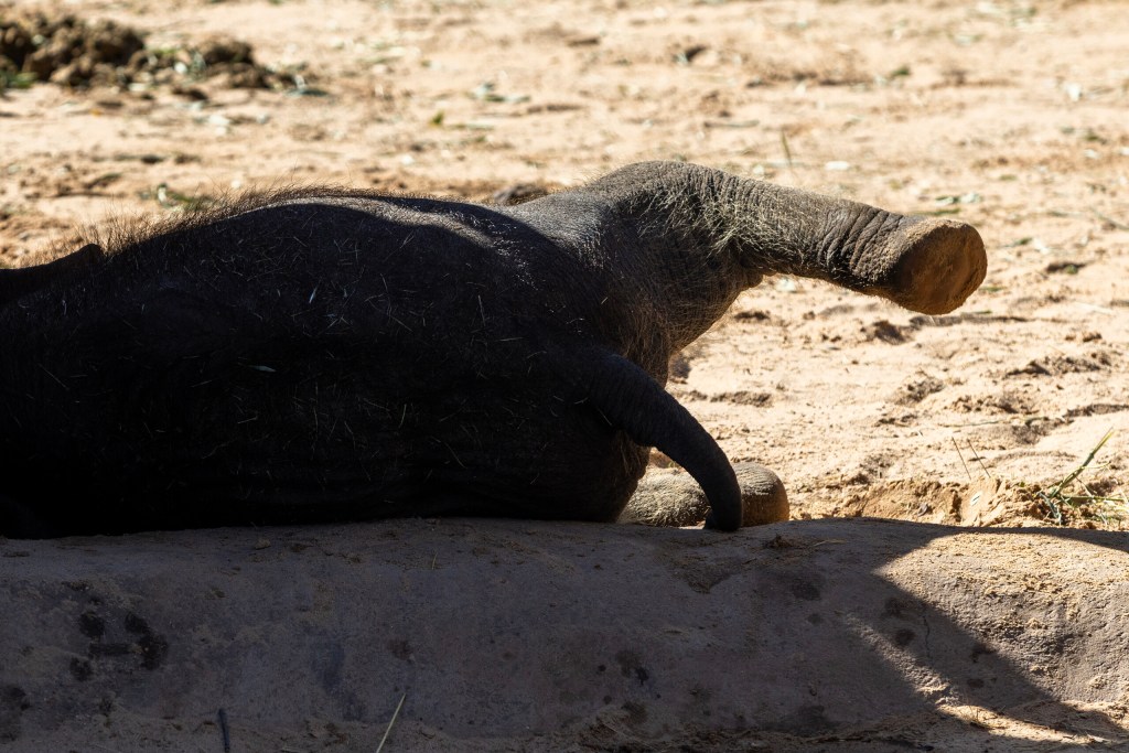 (Maria Crane | Fort Worth Report/CatchLight Local/Report for America)