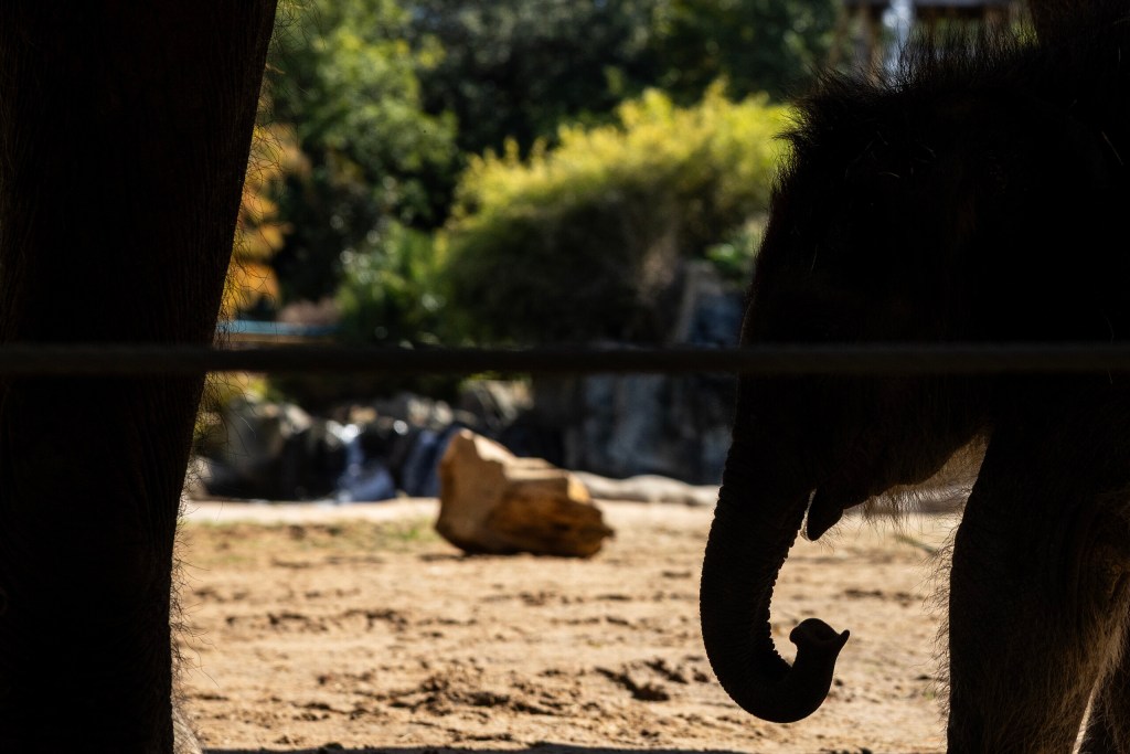 (Maria Crane | Fort Worth Report/CatchLight Local/Report for America)