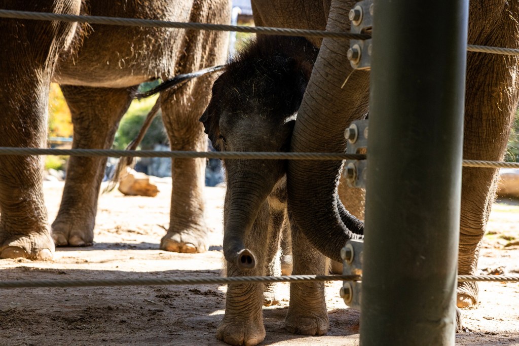 (Maria Crane | Fort Worth Report/CatchLight Local/Report for America)