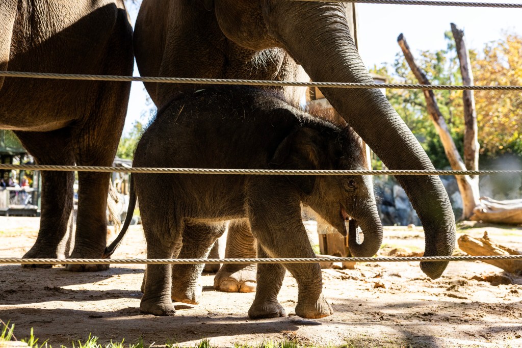 (Maria Crane | Fort Worth Report/CatchLight Local/Report for America)