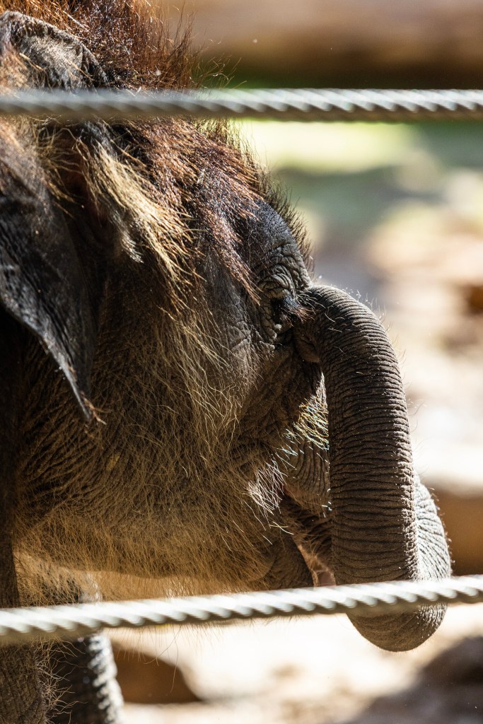 (Maria Crane | Fort Worth Report/CatchLight Local/Report for America)