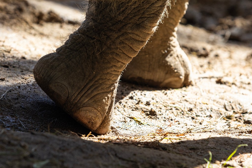 (Maria Crane | Fort Worth Report/CatchLight Local/Report for America)