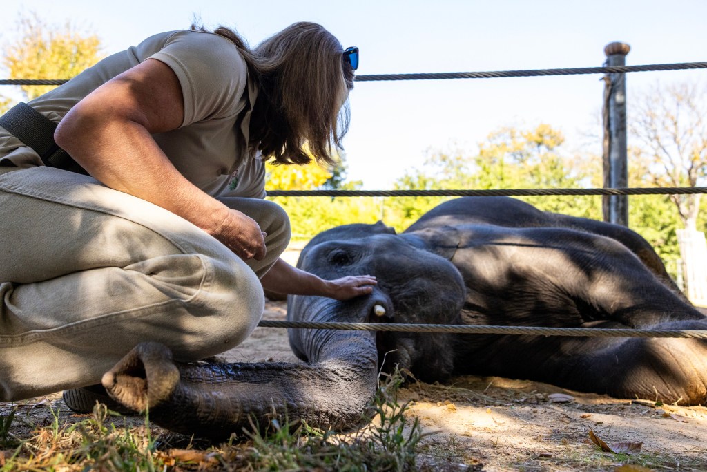 (Maria Crane | Fort Worth Report/CatchLight Local/Report for America)