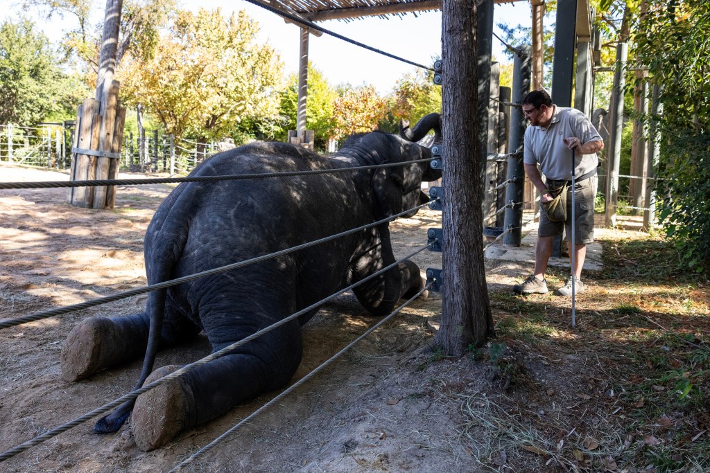 (Maria Crane | Fort Worth Report/CatchLight Local/Report for America)