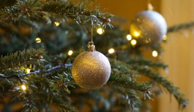 Here's where you can buy a live Christmas tree in Philly