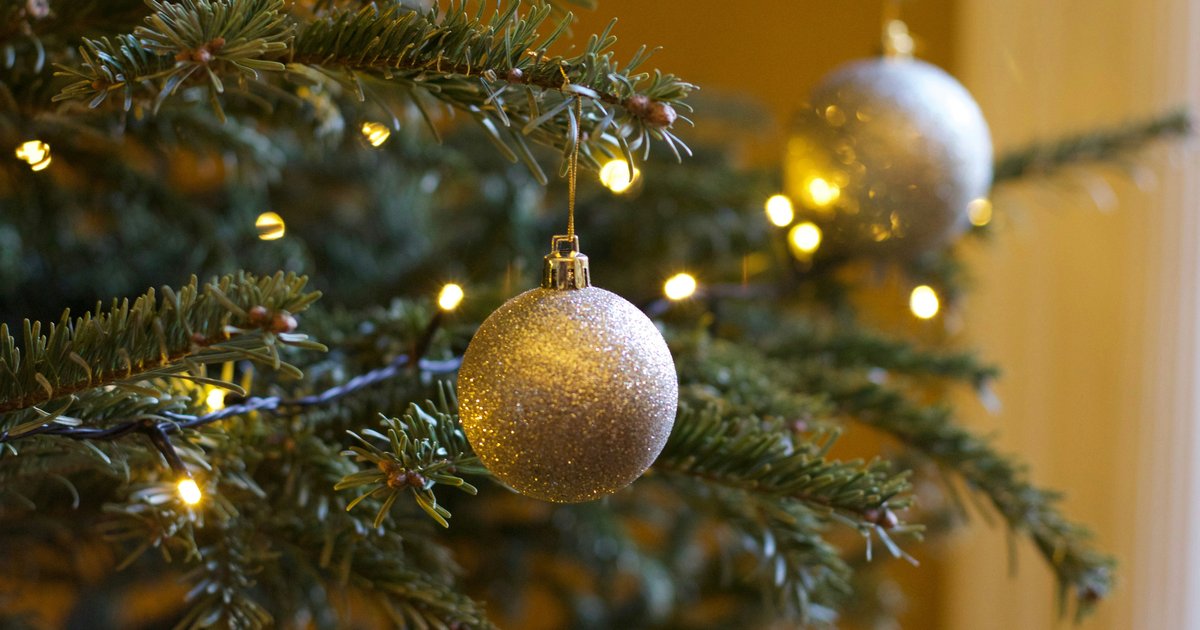 Here's where you can buy a live Christmas tree in Philly