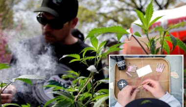 Cannabis poisoning among teens skyrockets since NY legalization