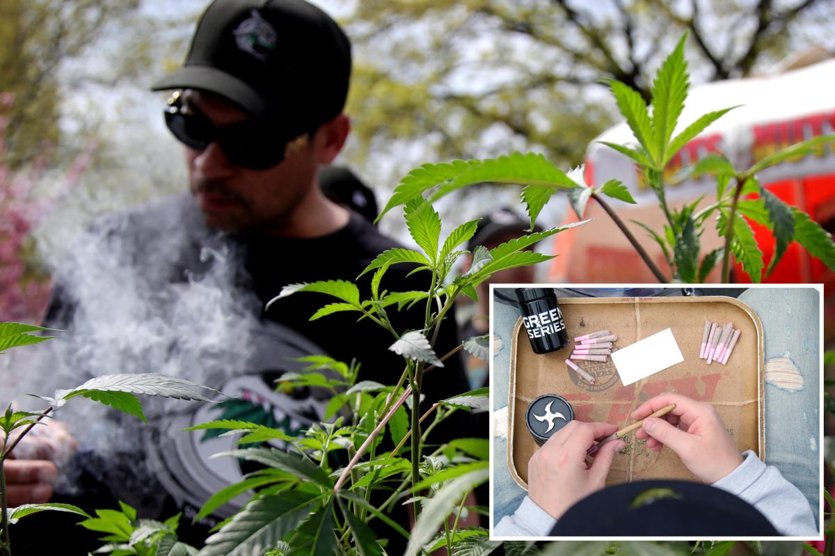 Cannabis poisoning among teens skyrockets since NY legalization