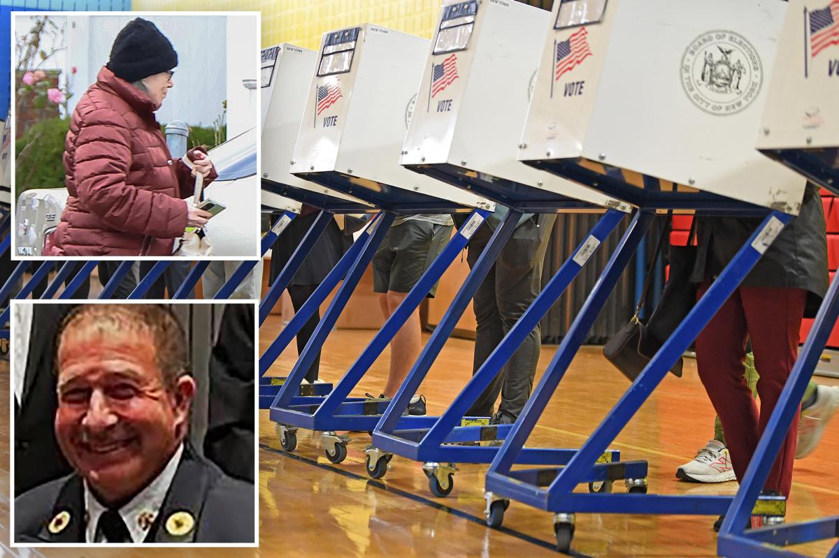 New twist in case of LI granny who claimed she didn't know she ran for office doubt cast on signatures