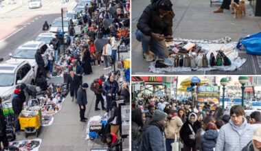 NYC knock-off vendors back with vengeance just weeks after dramatic ICE raid