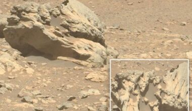 NASA discovers rock on Mars that shouldn't be there