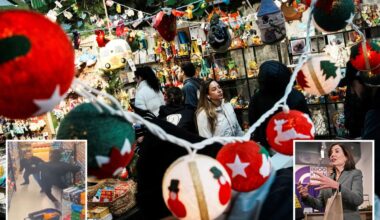 Shoplifting down 13% in NYC and across the state after retail theft crackdown: Hochul