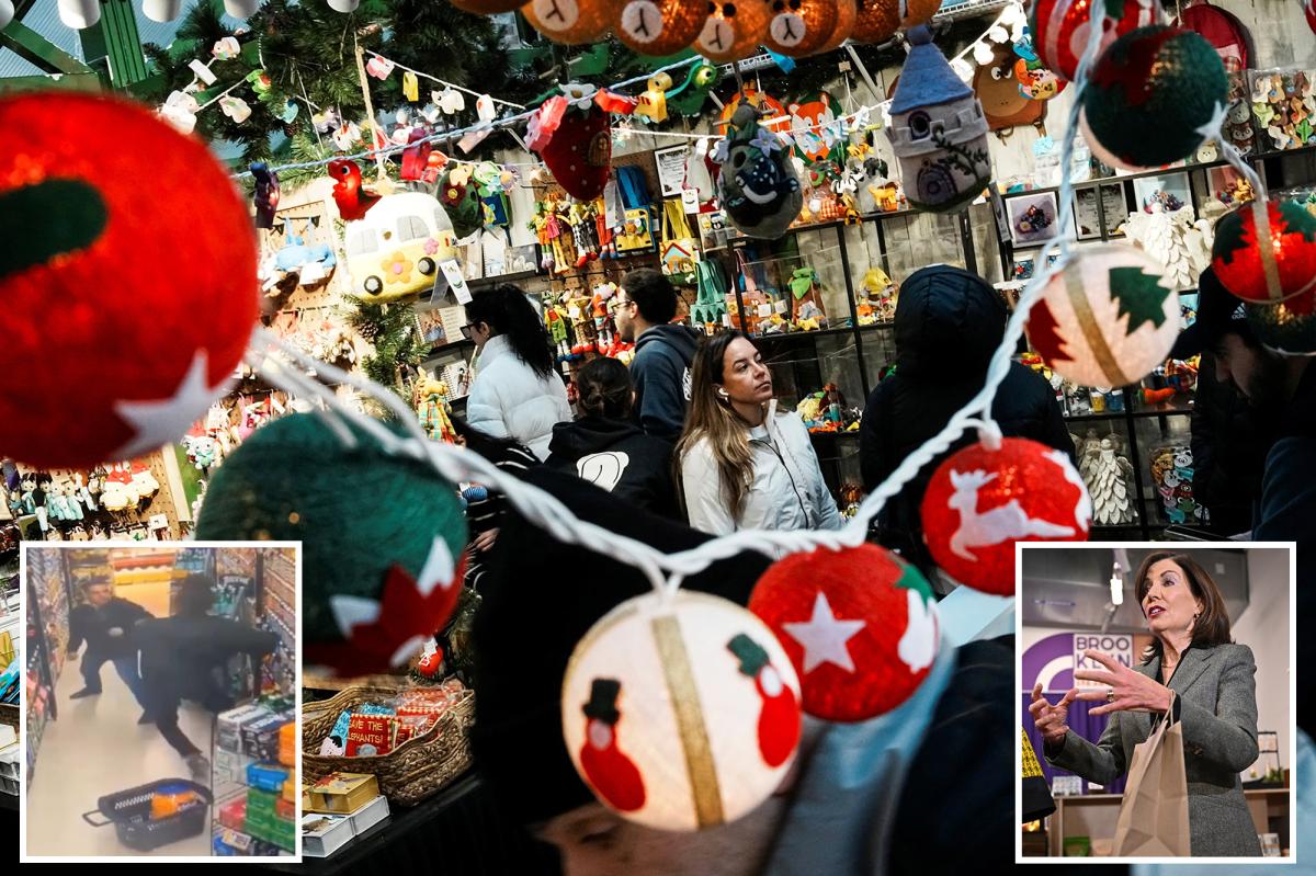 Shoplifting down 13% in NYC and across the state after retail theft crackdown: Hochul