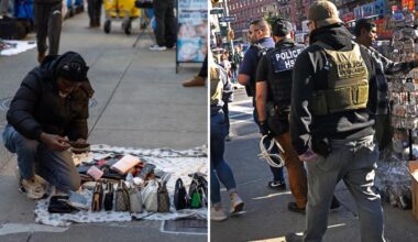 ICE arrests illegal immigrant selling counterfeit goods on Canal Street in NYC