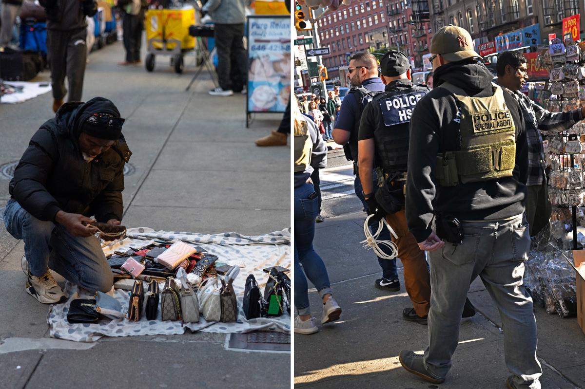 ICE arrests illegal immigrant selling counterfeit goods on Canal Street in NYC