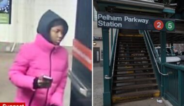 Would-be chain thief slashes woman with razor on NYC train in latest transit chaos