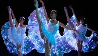 Ballet Of Lights Dallas: A Luminous Dance Show