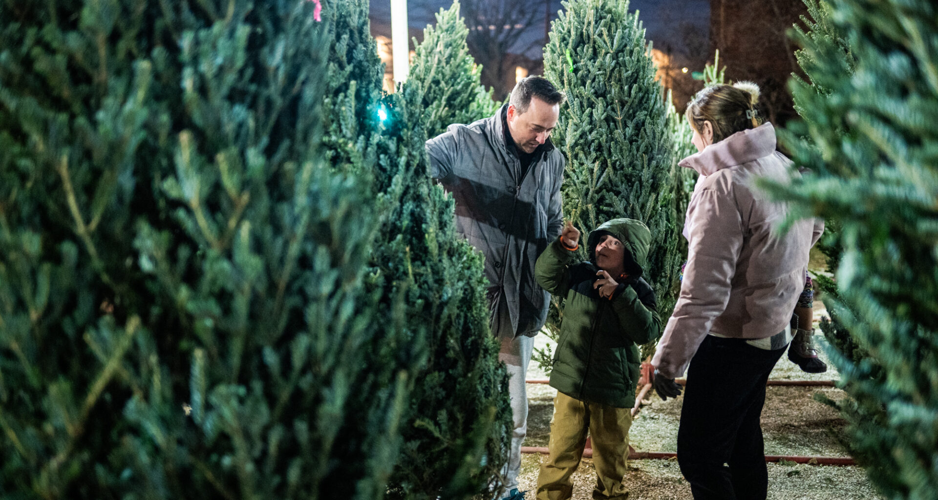 Looking For A Real Christmas Tree? Here’s Where To Find One In Chicago