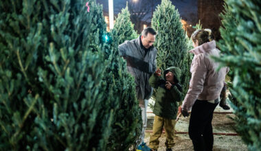 Looking For A Real Christmas Tree? Here’s Where To Find One In Chicago