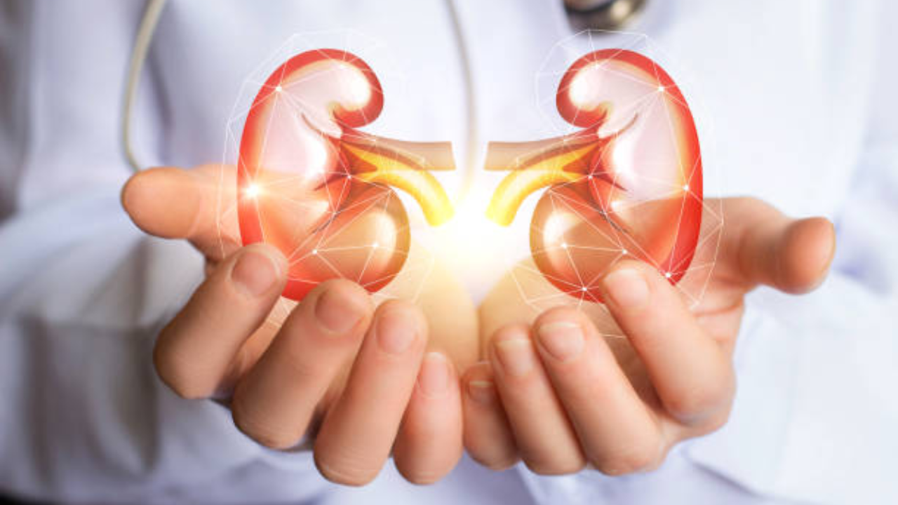 Kidney disease among top 10 causes of death; 800 million people affected and most don’t even know it: Here’s how to catch it early - Times of India