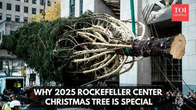 Rockefeller Christmas tree has arrived in NYC and the story behind it will melt your heart