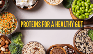 Expert-approved top 5 veg protein-rich foods that are also gut-friendly