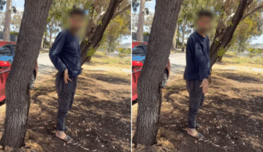 ‘Disgusting’: Man blasted after being caught squatting with pants down on Adelaide street in viral video