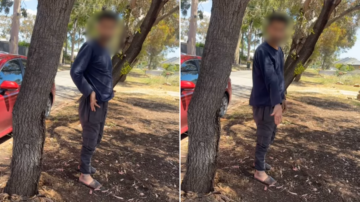 ‘Disgusting’: Man blasted after being caught squatting with pants down on Adelaide street in viral video