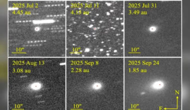 'Never Committing Suicide': The Comet 3I/ATLAS Conversation That Triggered Elon Musk's Declaration | US News