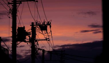 Power Outage in Los Angeles: What Caused the Power Outage in LA and When Will It Be Back? | US News