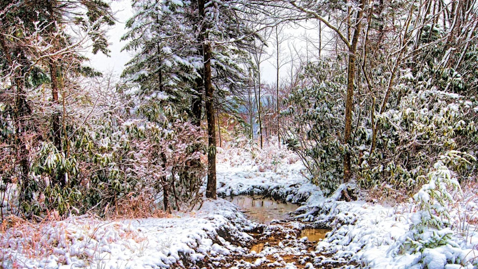 Snow by a Rivulet, Pocono Mountains, Pennsylvania