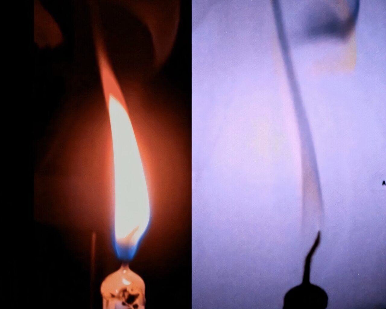 Parabolic flight experiment highlights flame dynamics in microgravity