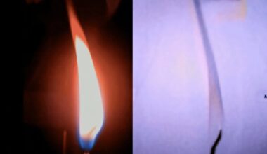 Parabolic flight experiment highlights flame dynamics in microgravity