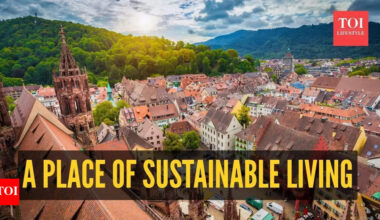 The city has no cars, no pollution, super clean water, or even trash cans with solar water?