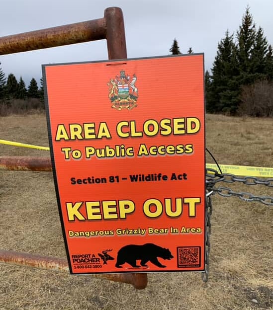 Signage west of Calgary indicating an area has been closed to the public due to "dangerous grizzly bear" presence.