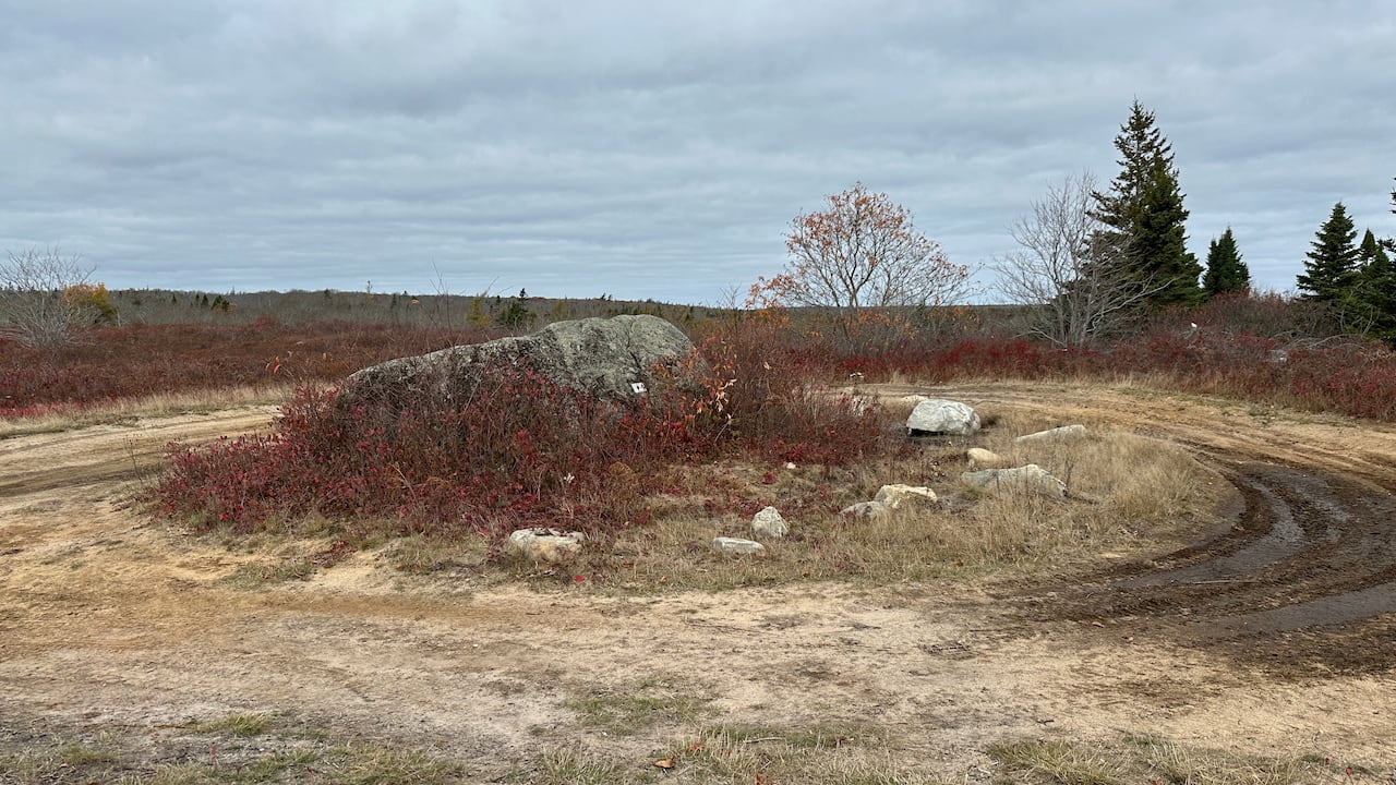 A large rock is shown in a grassy area in the middle of a forested location in Barrington.