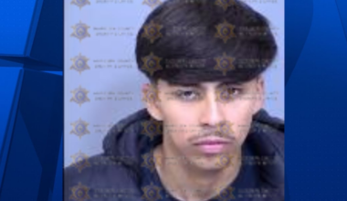 Teen accused in DUI crash spree on I-17 that included Phoenix PD vehicle