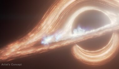 Do black holes really need singularities?