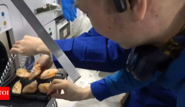 Watch: China’s astronauts grill chicken, steak in space — why it matters