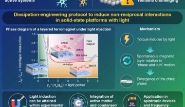 Photoinduced non-reciprocal magnetism effectively violates Newton's third law
