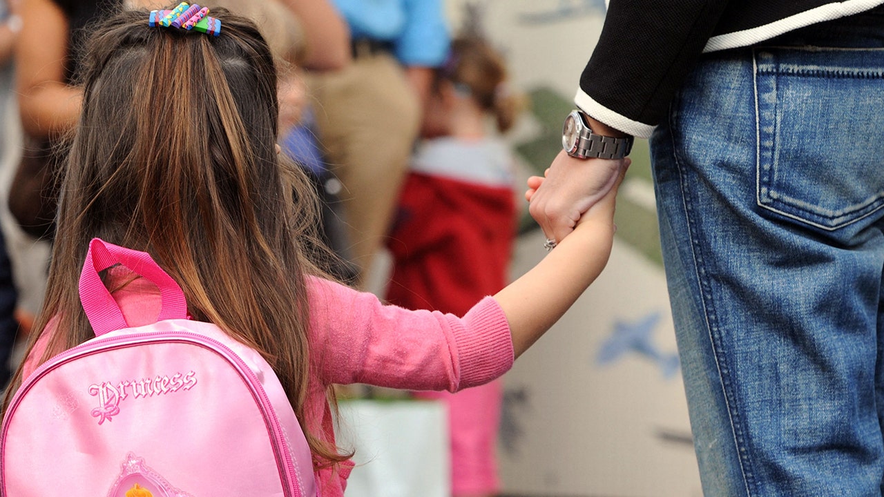 Texas Proposition 15 election results for 2025