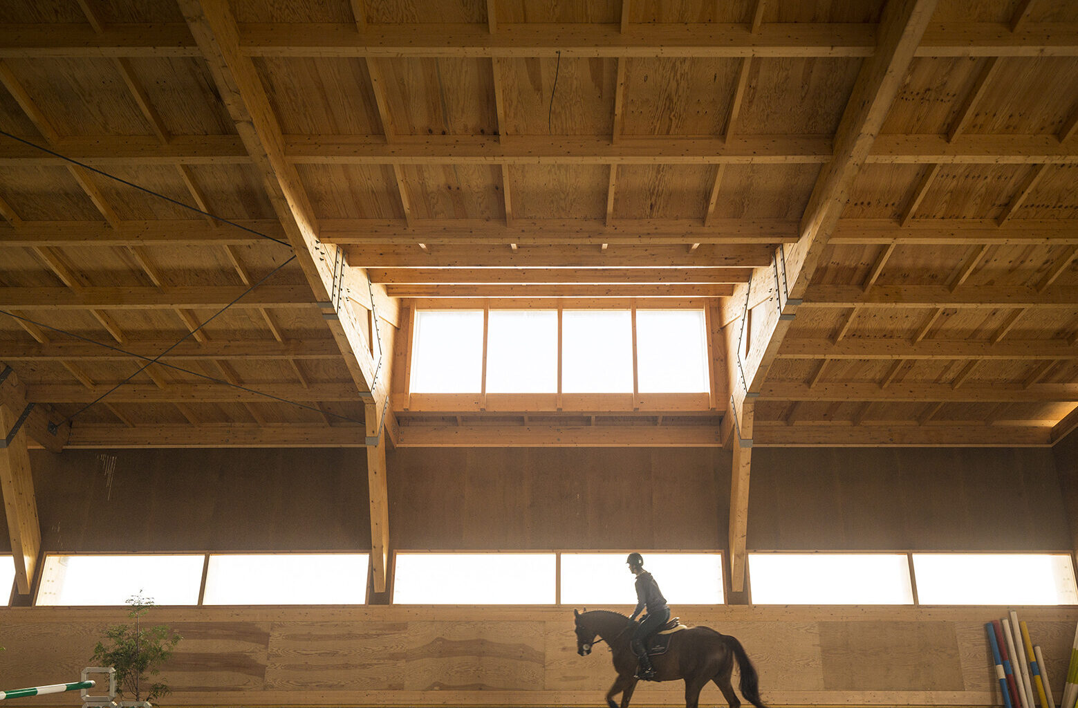 Designing for Horses: 8 Projects Shaping Space for Equine Life