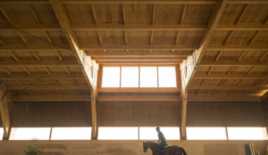 Designing for Horses: 8 Projects Shaping Space for Equine Life