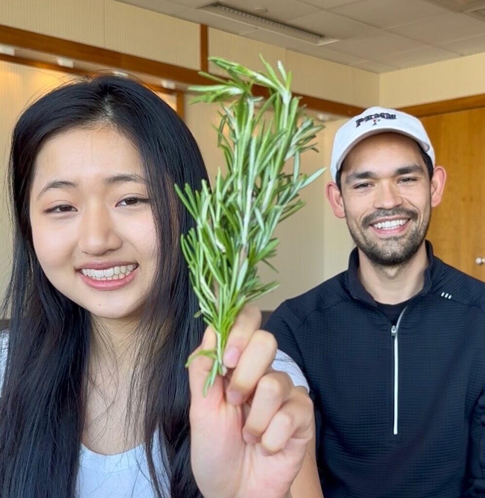 Rosemary compound found to support healthy skin regeneration after injury