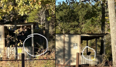 Final lost monkey found in Vossburg